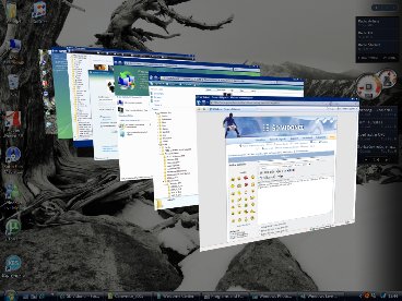 vista.jpg
