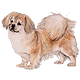 Uporabniški avatar