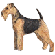 Uporabniški avatar