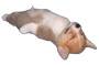 Uporabniški avatar